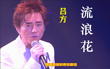 流浪花吉他谱