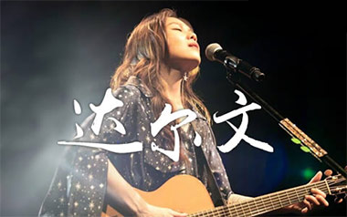达尔文吉他谱