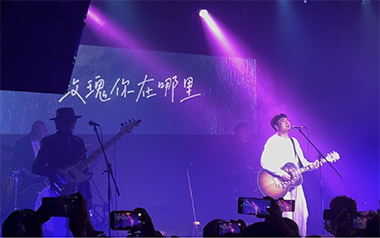 玫瑰吉他谱