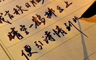予你情诗吉他谱