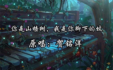 你是山楂树我是你脚下的坟吉他谱
