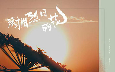 簇拥烈日的花吉他谱