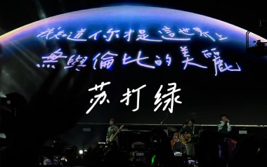 无与伦比的美丽吉他谱