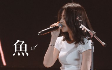 鱼吉他谱