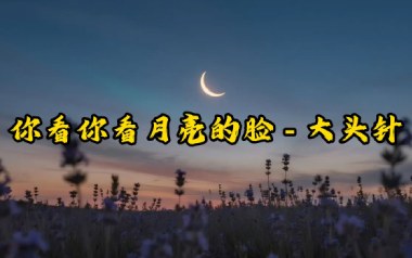 你看你看月亮的脸吉他谱