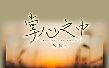 掌心之中吉他谱