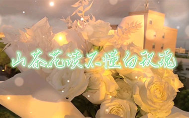 山茶花读不懂白玫瑰吉他谱