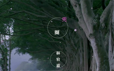 兜圈吉他谱