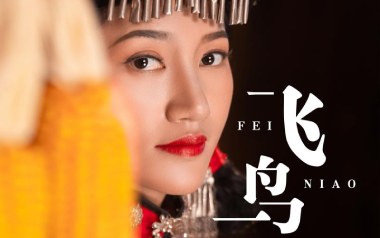 飞鸟吉他谱