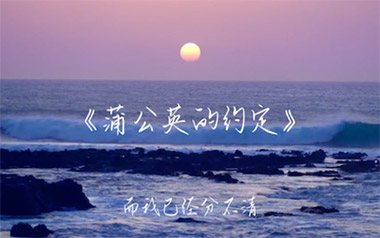 蒲公英的约定吉他谱