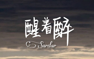 醒着醉吉他谱