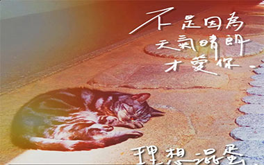 不是因为天气晴朗才爱你吉他谱