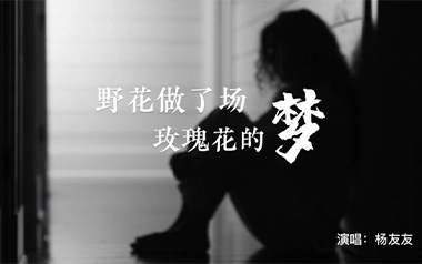 野花做了场玫瑰花的梦吉他谱