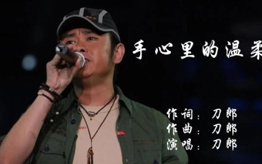 手心里的温柔吉他谱