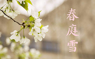 春庭雪吉他谱