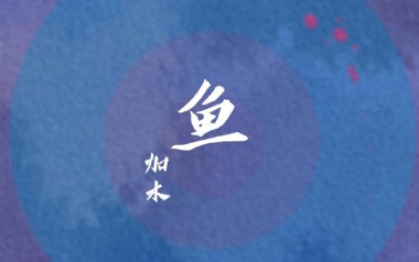 鱼吉他谱
