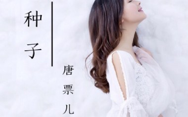 种子吉他谱
