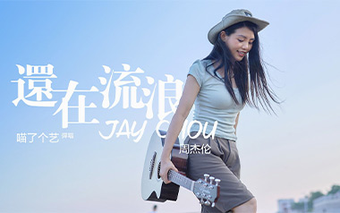 还在流浪吉他谱