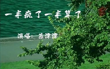 一半疯了一半算了吉他谱