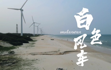 白色风车吉他谱