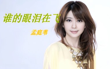 谁的眼泪在飞吉他谱