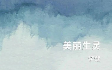 美丽生灵吉他谱