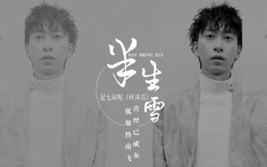 半生雪吉他谱
