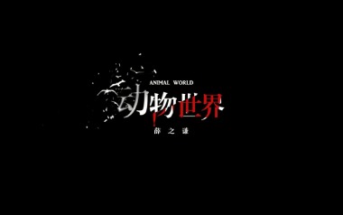 动物世界吉他谱