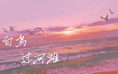 白鸟过河滩吉他谱