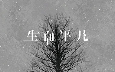 生而平凡吉他谱