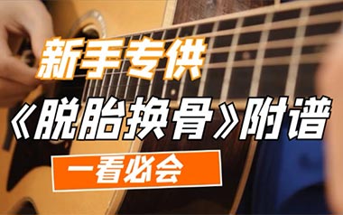 脱胎换骨吉他谱