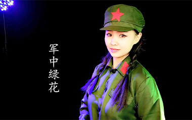 军中绿花吉他谱